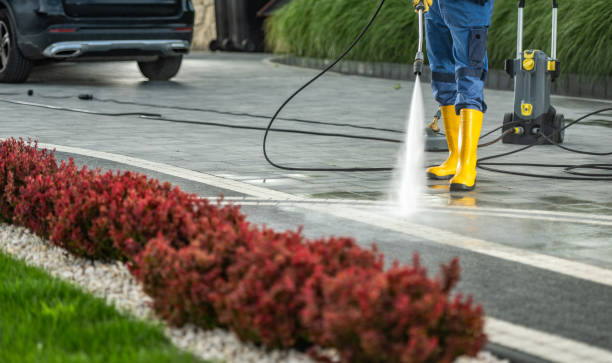 Best Driveway Pressure Washing  in Fairview, NC